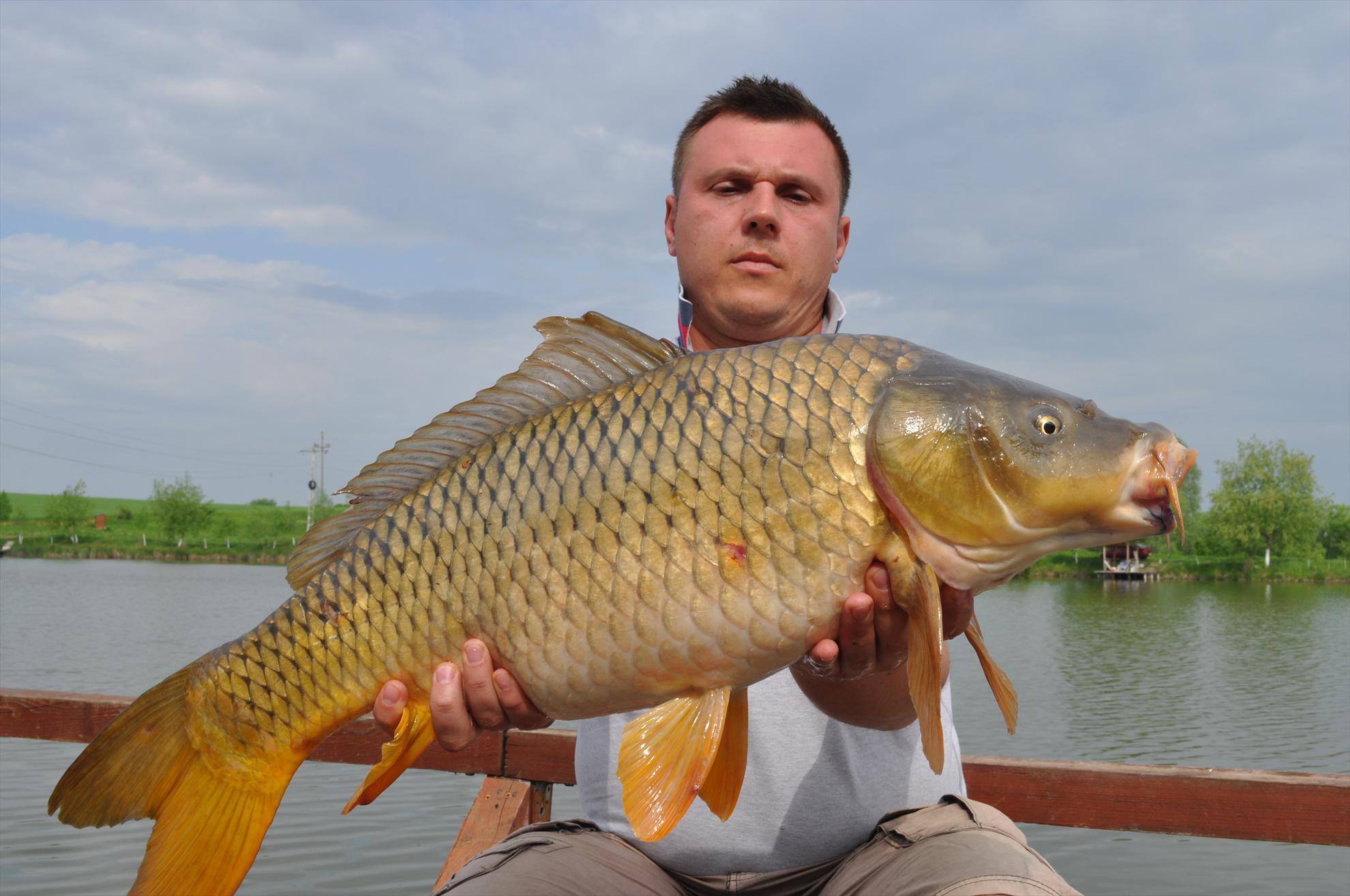 Teslui - dsc0354.JPG